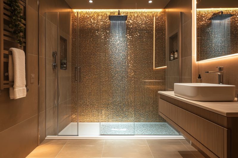 Luxury Shower Areas
